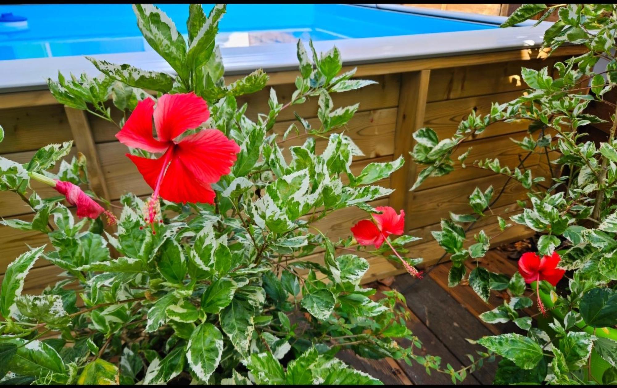 Gite Rubis Passion Port-Louis Εξωτερικό φωτογραφία